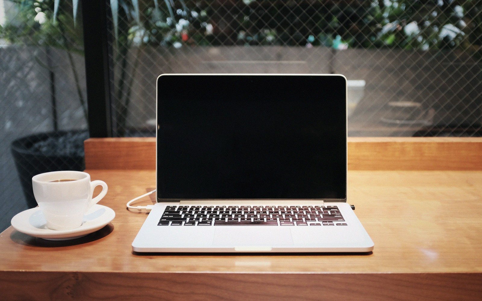 A Web-Dev Learning Path